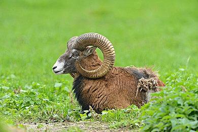 《第一后裔》新学院风时装将登场 制服诱惑来了