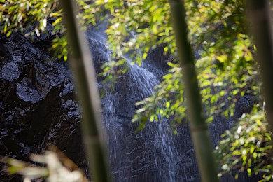塔防角色扮演游戏《守护者的探险2：废墟毒雾》计划于1月30日推出